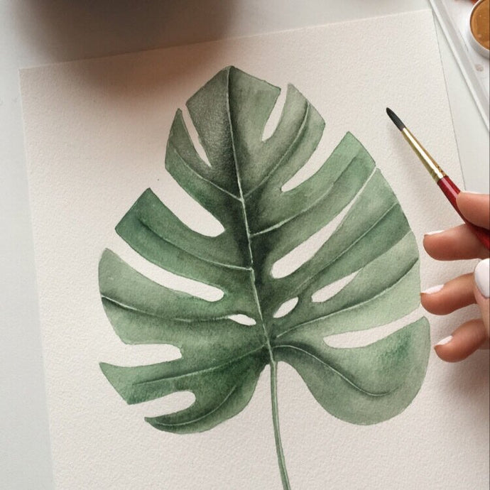 Learn how to paint a monstera leaf with me!