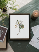 Load image into Gallery viewer, Magnolia