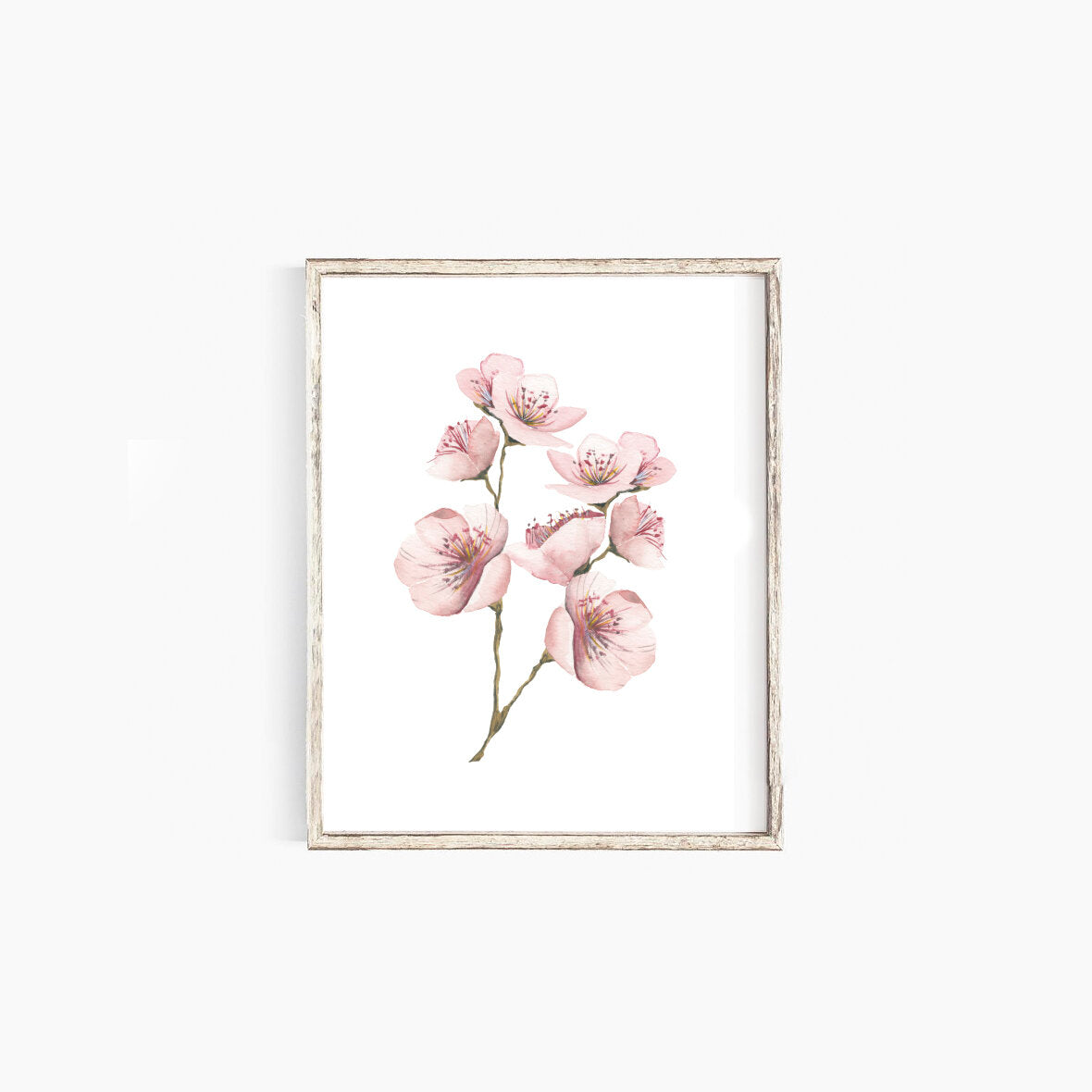 Cherry Blossom Art Print