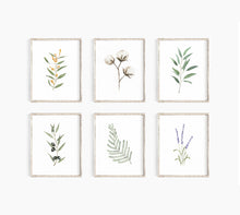 Load image into Gallery viewer, Lavender Art Print
