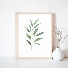 Load image into Gallery viewer, Eucalyptus Art Print