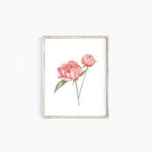Load image into Gallery viewer, Peony Art Print
