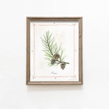 Load image into Gallery viewer, * RETIRING * Pine