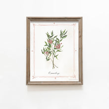 Load image into Gallery viewer, * RETIRING * Rowanberry