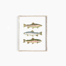 Load image into Gallery viewer, Rainbow Trout